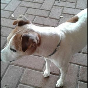 Meet your Posher, Abigail